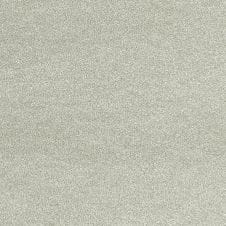 Brilliant Silver Metallic