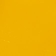 Baja Yellow