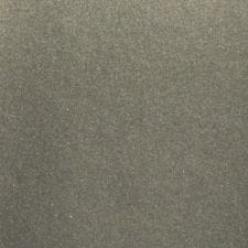 Ammonite Gray Metallic
