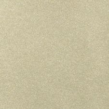 Champagne Silver Metallic
