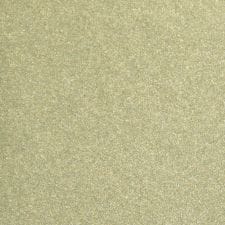 Bamboo Pearl