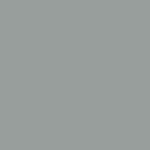 Cactus Gray Metallic
