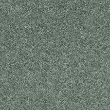 Polished Metal Metallic