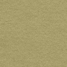 Pepper Green