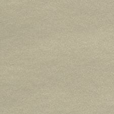 Cashmere Silver Metallic