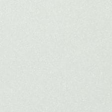 Suzuka Gray Metallic