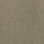 Desert Bronze