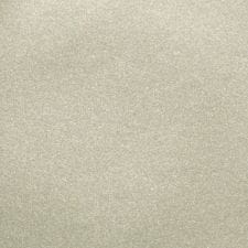 Moondust Silver Metallic