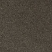 Gilded Pewter Metallic