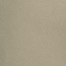Rooftop Gray Metallic