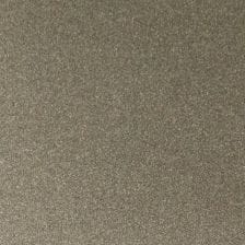Carat Beige Metallic