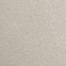 Olympus Silver