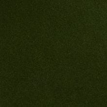 Sonoma Green Metallic