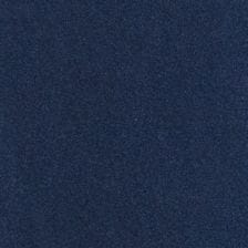 Phytonic Blue Metallic