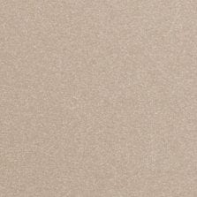Solar Silver Metallic