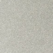 Steel Silver Metallic