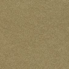 Bold Beige Metallic