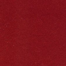 Camellia Red Pearl