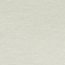 Ice Silver Metallic