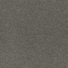 Predawn Gray Mica