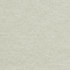Mystic Silver Metallic