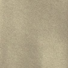 Champagne Mica