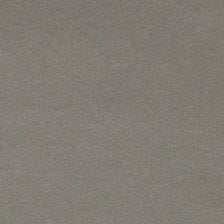 Lotus Gray Metallic