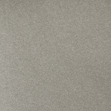 Silverstone Gray Metallic