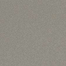 Silver Metallic