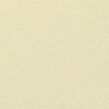 Premium White Pearl