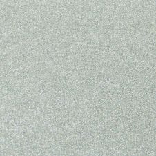 Silver Sky Metallic