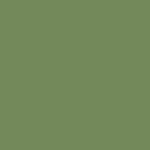 Amazon Green Metallic