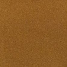 Sunlit Bronze Metallic