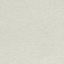 Silver Frost Metallic
