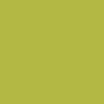 Zesty Yellow