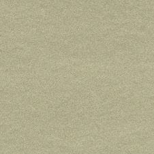 Sahara Silver Metallic