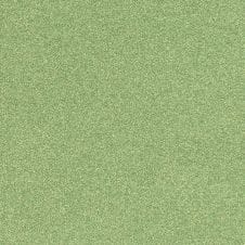 Kiwi Green