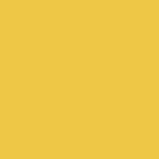 Ginster Yellow 