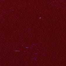 Sport Red Tintcoat