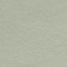 Liquid Silver Metallic