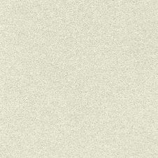 White Noise