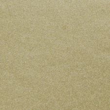 Beige Metallic
