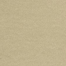Camel Pearl