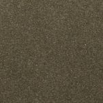 Metal Bronze