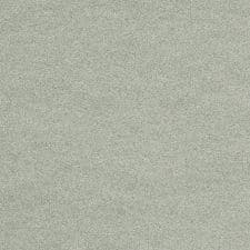 Silver Fresco Metallic