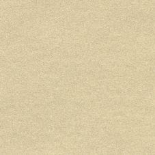 Champagne Beige Metallic