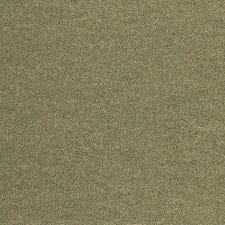 Light Bronze Metallic