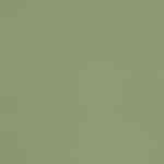 Sage Light Green