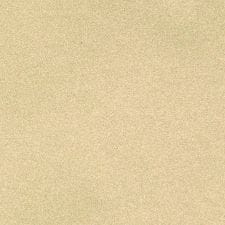 Pearl Beige Metallic