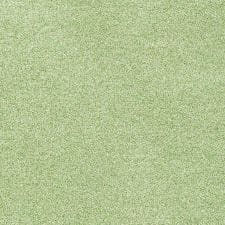 Kiwi Green